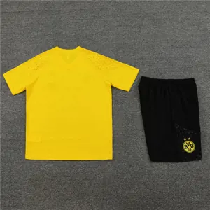 23-24 Dortmund Training Soccer Jerseys Yupoo 1