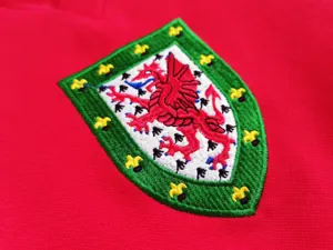 76-79 Wales home 2