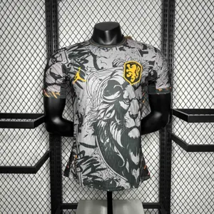 2024 Netherlands Jordan Special Edition Kit Player Version Shirt AAAAJersey Supplier Yupoo