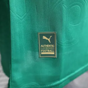 24-25 Palmeiras Home Kit Player Version Shirt Best Jerseys Yupoo 5