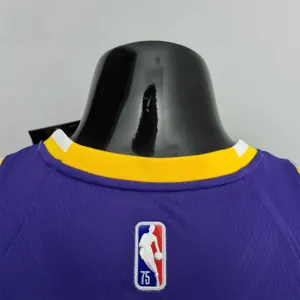 75th Anniversary James #6 Los Angeles Lakers Jordan Purple NBA Jersey 5