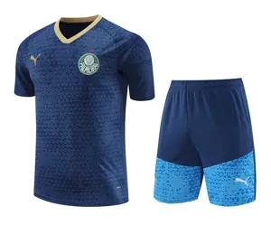 24-25 Palmeiras Training Soccer Jerseys Football Shirts