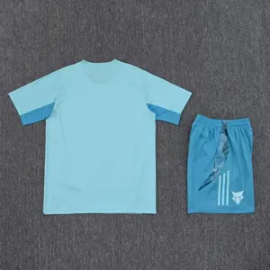 25-26 Cruzeiro Blue Training Kits Football Tracksuits 1