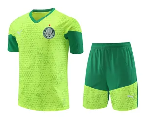 24-25 Palmeiras Training Soccer Jerseys Football Shirts