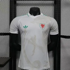 2026 Wales World Cup Away Kit Football Player Version T-Shirt AAAAJerseys Supply Yupoo