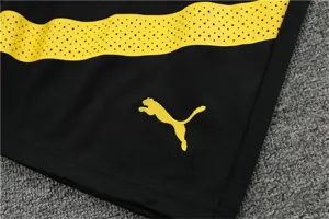22-23 Dortmund training suit gray 16