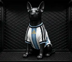 2026 World Cup Argentina Home Kit Pet Jersey Yupoo 3 2