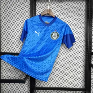 24-25 Palmeiras Goalkeeper Blue Kit Football Uniform AAAAJerseys Dropshipping Yupoo 3