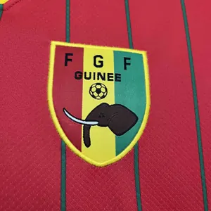 2024 Guinea Home Kit Cheap Jerseys Yupoo 1