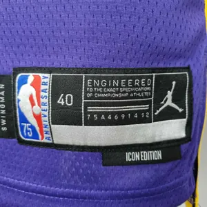 75th Anniversary Howard #39 Los Angeles Lakers Jordan Purple NBA Jersey 7