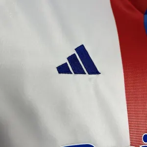 24-25 Lyon Home Kid Kits Youth Apparels Football AAAAJersey Yupoo 6
