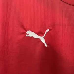 2024 Serbia Home Kit UEFA Euro Shirt Soccer Jerseys Yupoo 4