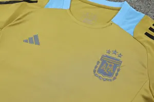 2024 Argentina Training Soccer Jerseys Football Shirts 1