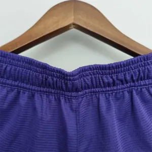 2022 Los Angeles Lakers NBA US Training Shorts Purple 5
