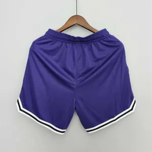 2022 Los Angeles Lakers NBA US Training Shorts Purple 6