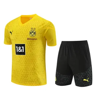 23-24 Dortmund Training Soccer Jerseys Yupoo