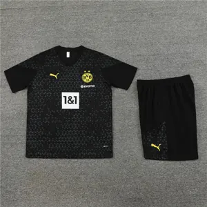 23-24 Dortmund Training Soccer Jerseys Yupoo 1