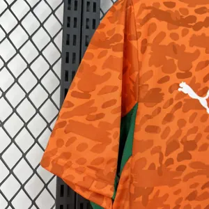 2026 Ivory Coast Home Mens Kit Football T-Shirt AAAAJersey Supply Yupoo 6 6