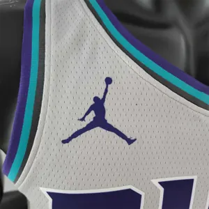 2019 Ball#2 Charlotte Hornets Grey NBA Jersey 6