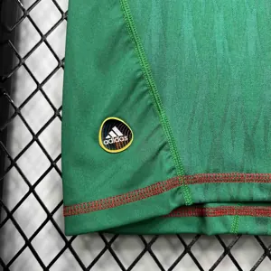 2010 Mexico home 7