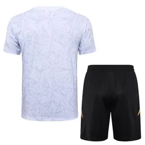 24-25 Real Madrid Training Soccer Jerseys Football Shirts 2