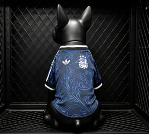 2026 World Cup Argentina Away Kit Pet Jersey Yupoo 3