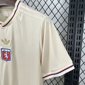 25-26 Lyon 75th Anniversary Special Edition Shirt Football Uniform AAAAJersey Wholesale Yupoo 2