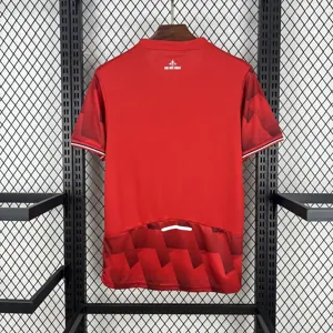 25-26 Lille Home Shirt Football T-Shirt AAAAJersey Supply Yupoo 1