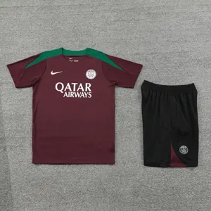 24-25 PSG Training Soccer Jerseys Football Shirts 1