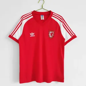 1982 Wales home