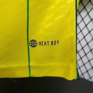 2024 Jamaica Home Kit Player Version Shirt Best Jerseys Yupoo 4