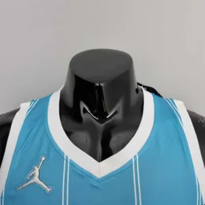 75th Anniversary Hayward #20 Charlotte Hornets Blue NBA Jersey 8