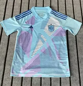 2024 Spain Goalkeeper Blue Kit Football AAAAJersey Yupoo 5