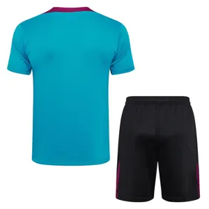 24-25 PSG Training Soccer Jerseys Football Shirts 1