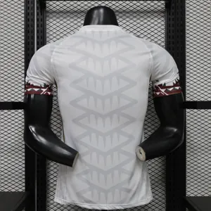 2026 Mexico Mens Special Edition Player Football T-Shirt AAAAJersey Supply Yupoo 7 5