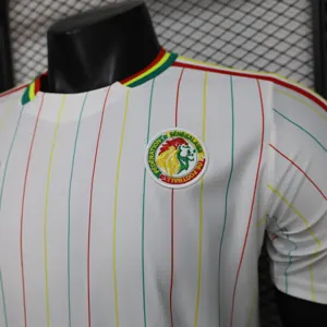 2026 World Cup Senegal Retro Football Shirt Casual Edition AAAA Jersey Drop ship Yupoo 6