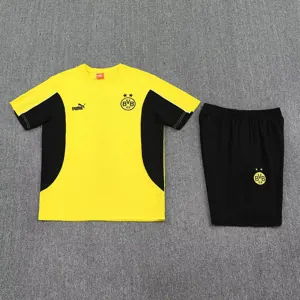 25-26 Dortmund Yellow Training Kits Football Tracksuits 1