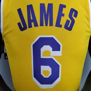 James #6 Lakers Round neck yellow 1
