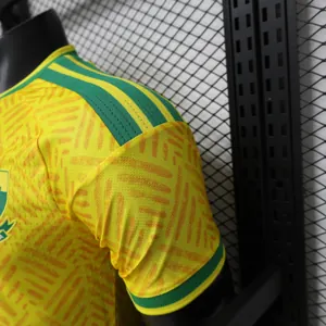 2026 South Africa Mens World Cup Home Soccer Player Version T-Shirt AAAAJersey Wholesale Yupoo 10 7