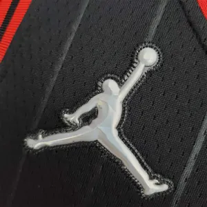 75th Anniversary Pippen#33 Bulls Flyers Black NBA Jersey 5