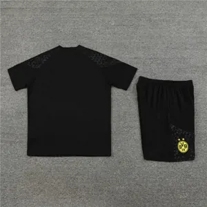 23-24 Dortmund Training Soccer Jerseys Yupoo 3