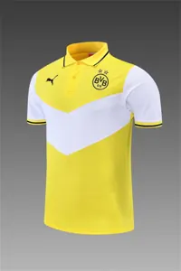 Polo Dortmund yellow 5