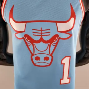 Chicago Bulls ROSE#1 Blue NBA Jersey 8