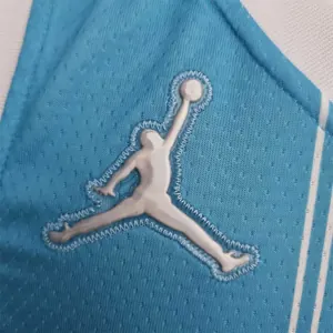 75th Anniversary Ball #2 Charlotte Hornets Blue NBA Jersey 2