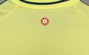 2024 Wales Away Kit Football AAAAJersey Yupoo 5