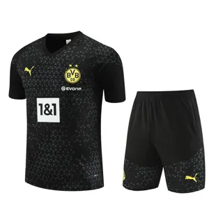 23-24 Dortmund Training Soccer Jerseys Yupoo