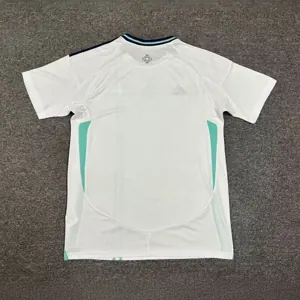 2024 Northern Ireland Away Kit Football Replicas Yupoo 1