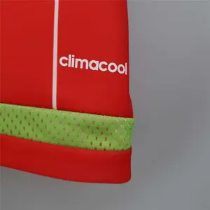 15-16 Wales home 6