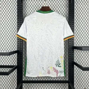2026 Cameroon Away Kit Football T-Shirt AAAAJersey Supply Yupoo 5