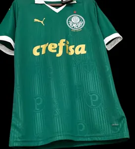 24-25 Palmeiras Home Shirt Best Jerseys Yupoo 1